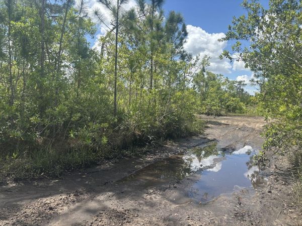 0 Holopaw Groves Road, St. Cloud, FL 34772