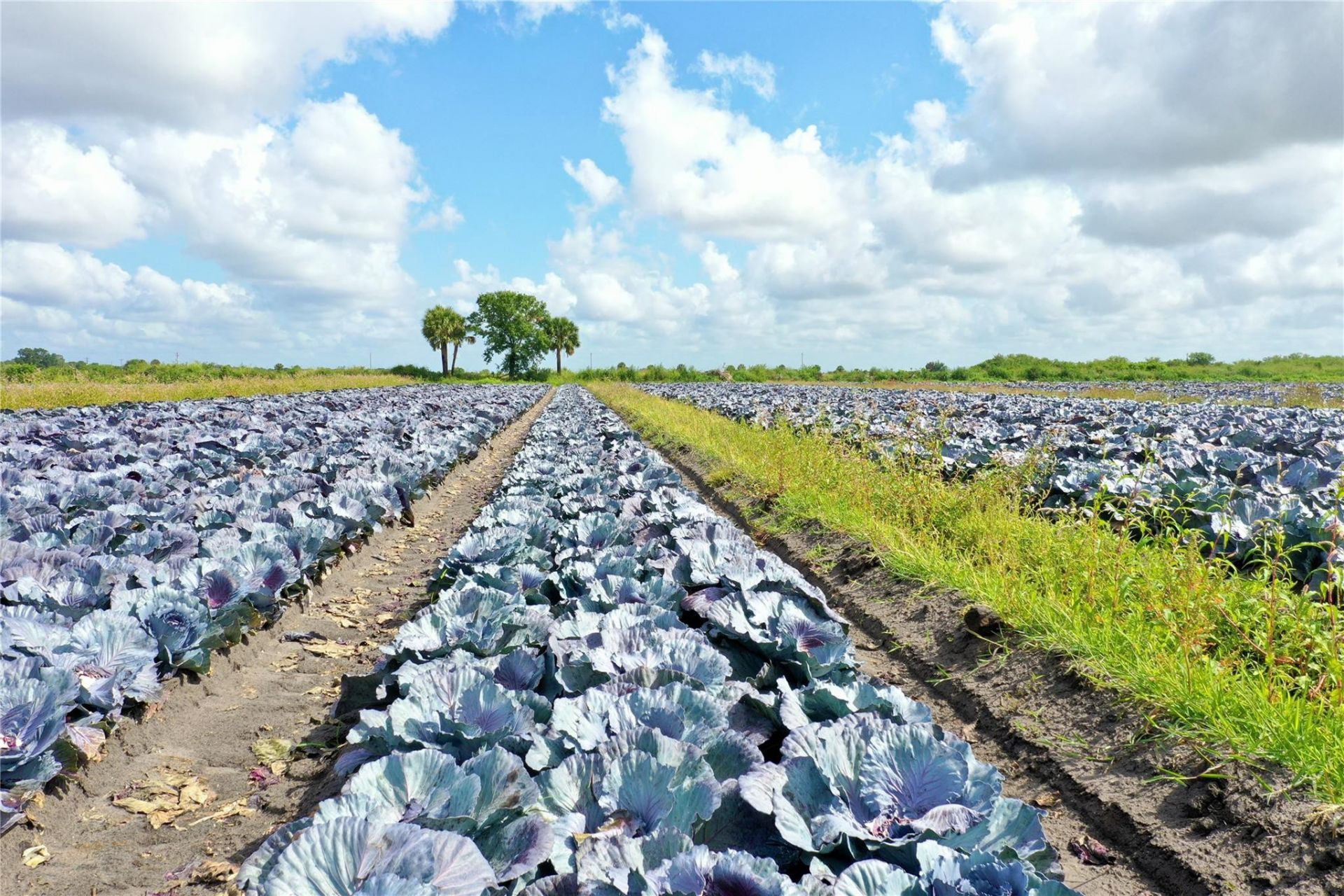 23481 NW 144th Avenue, Okeechobee, FL 34972 Photo