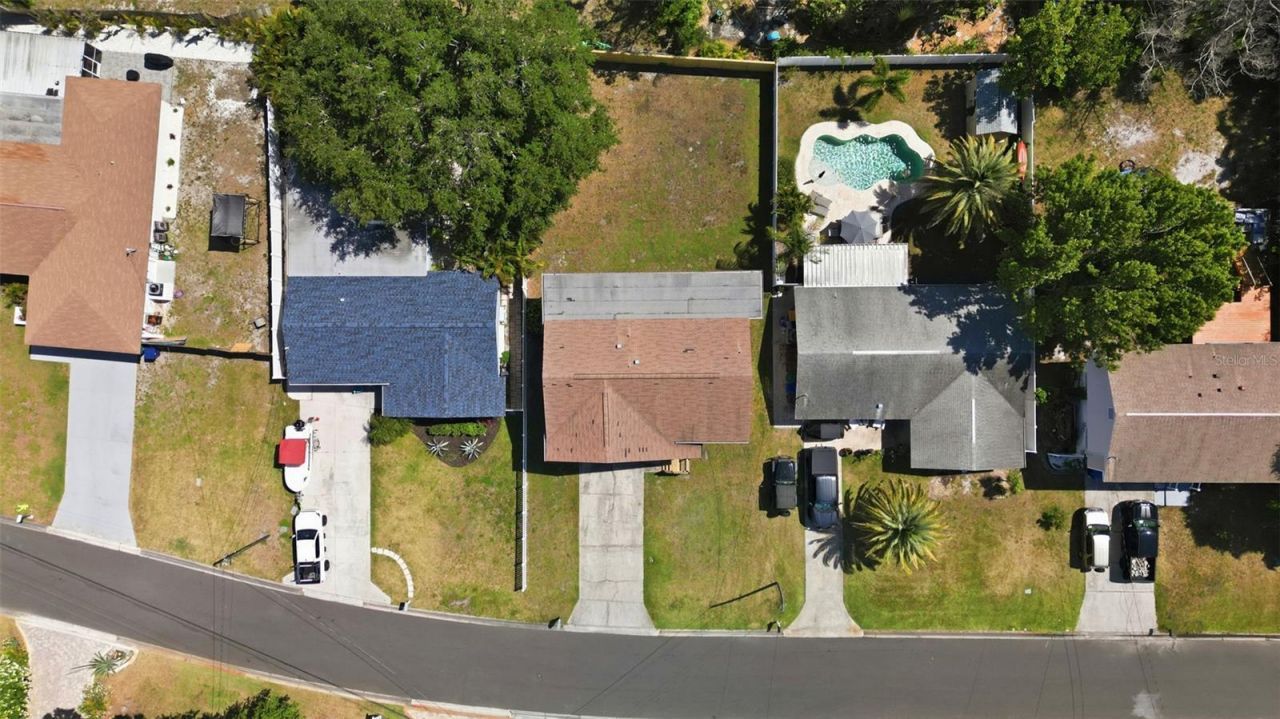 334 Crosswinds Drive, Palm Harbor, FL 34683 Photo