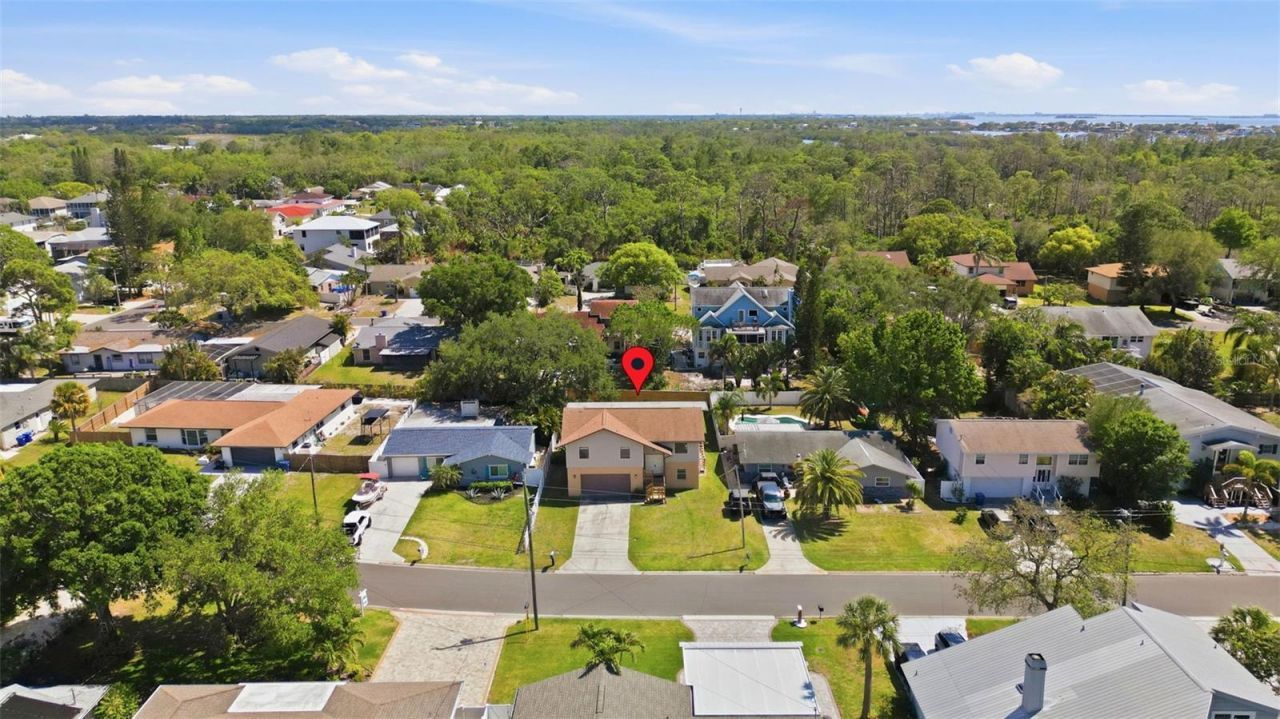 334 Crosswinds Drive, Palm Harbor, FL 34683 Photo