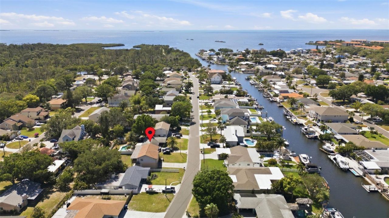 334 Crosswinds Drive, Palm Harbor, FL 34683 Photo