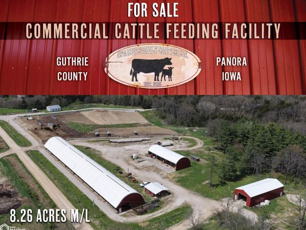 3181 255th Lane, Panora, IA 50216