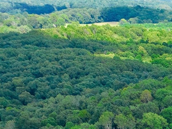 0 Derry Lane Road, Wilkesville, OH 45695