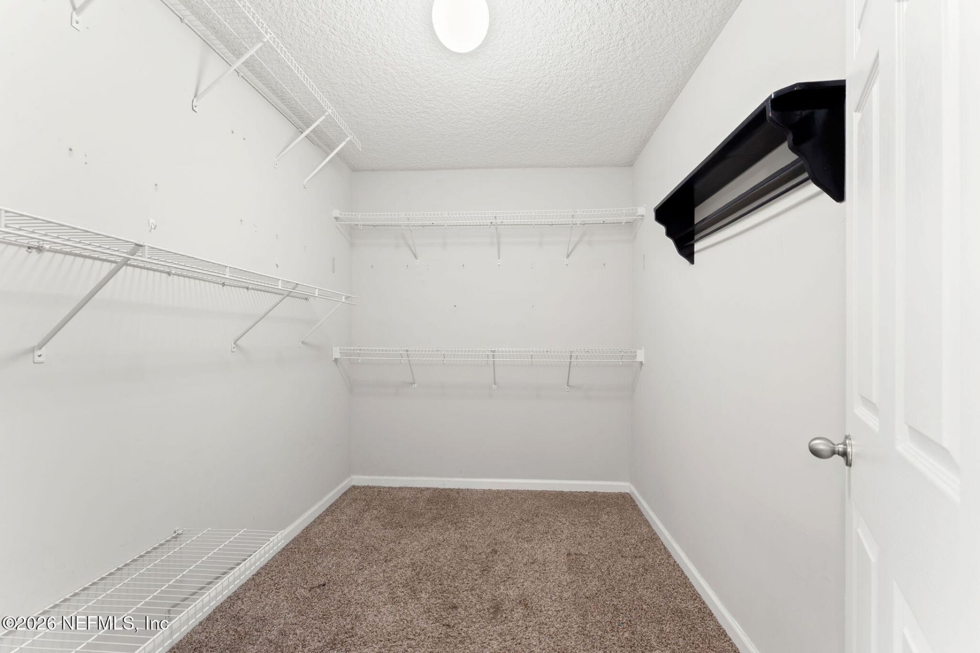 9251 Spider Lily Lane, Jacksonville, FL 32219 Photo