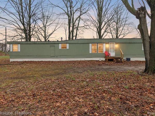 7291 Birch Avenue , Martiny Twp, MI 49332