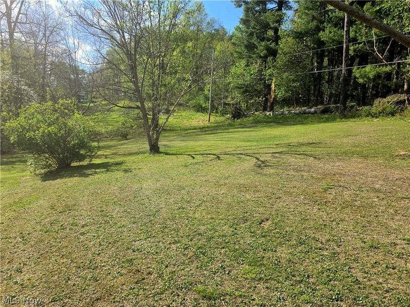 46242 County Road 501, Coshocton, OH 43812 Photo 2