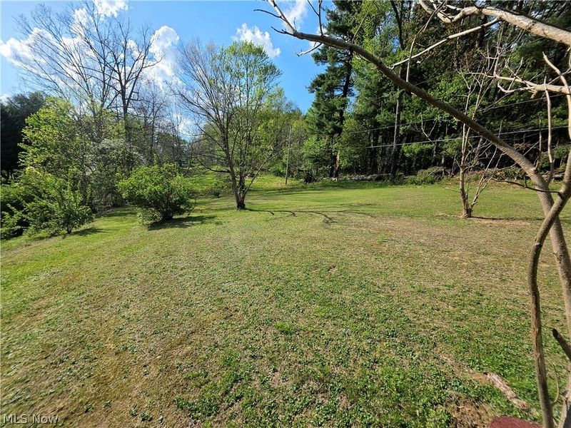 46242 County Road 501, Coshocton, OH 43812 Photo 3