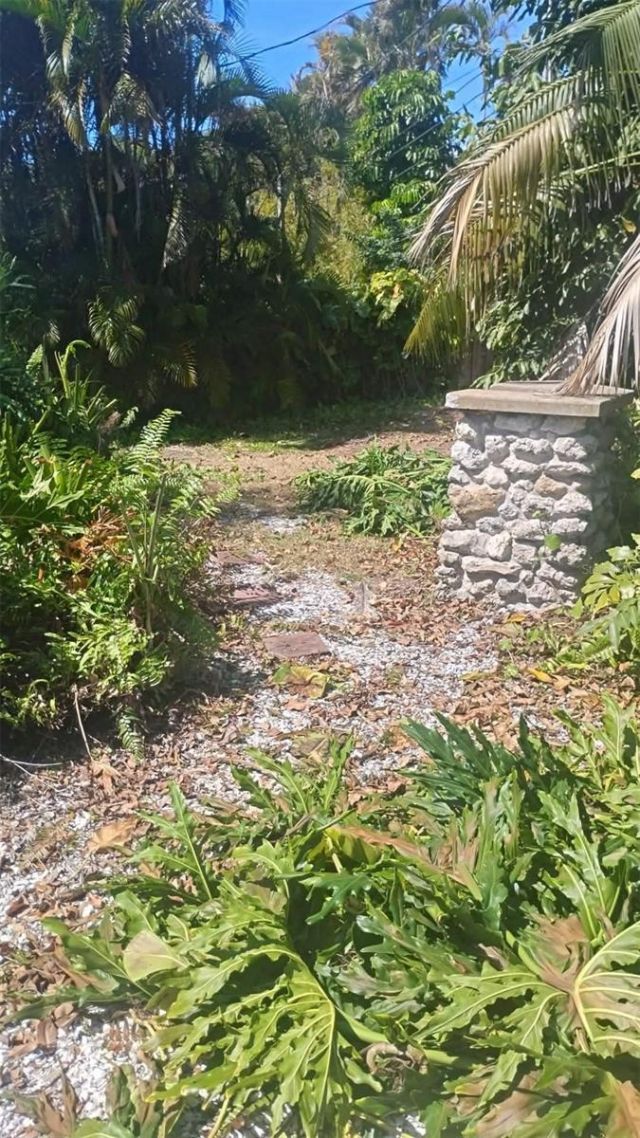 498 Bayview Drive Ne, Saint Petersburg, FL 33704 Photo
