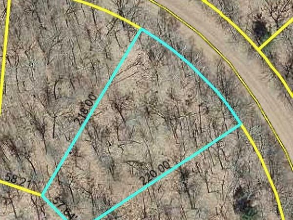 Lot 107 Bridle Trail, Danbury, WI 54830