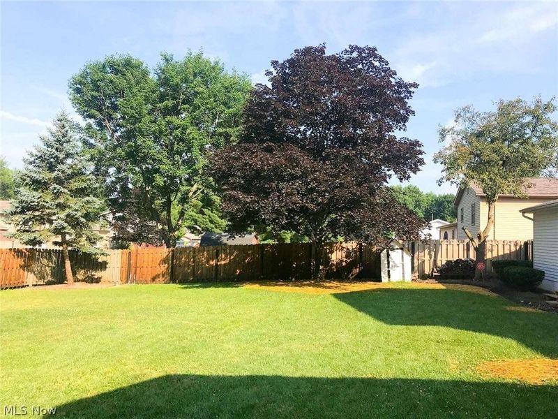 229 Old Oak Drive, Cortland, OH 44410 Photo 5