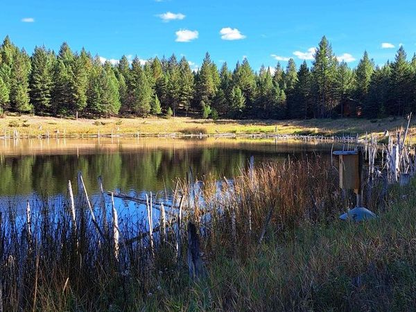 746 Evergreen Drive , Eureka, MT 59917