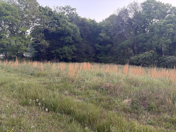 0 Williams Lane, Flintstone, GA 30725