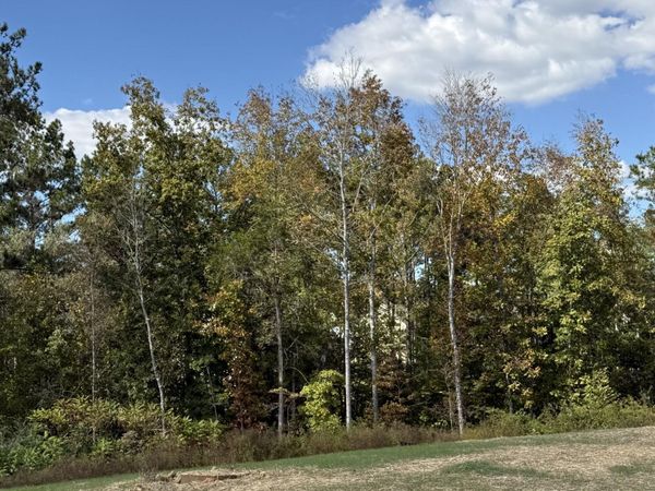 3 Creekwood , Cleveland, TN 37312