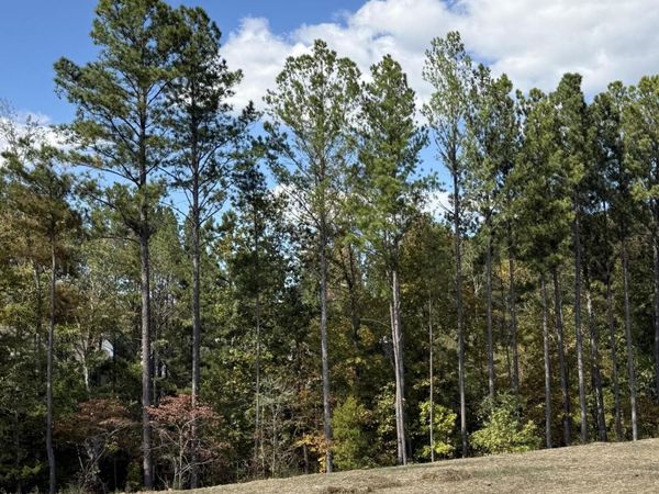 4 Creekwood, Unit 4, Cleveland, TN 37312