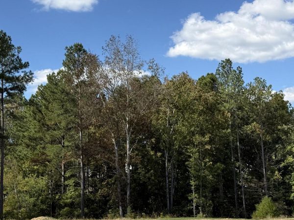 6 Creekwood, Cleveland, TN 37312