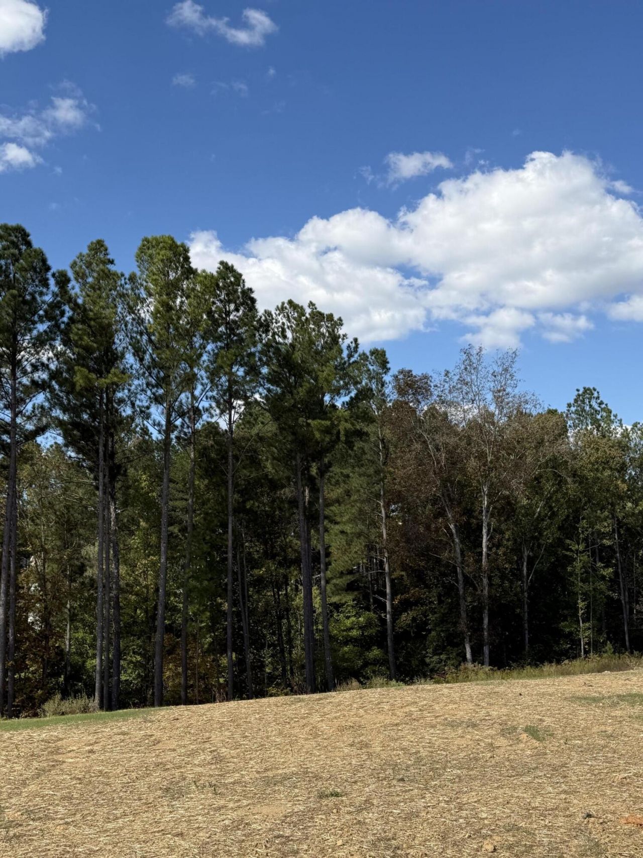6 Creekwood, Lot #6, Cleveland, TN 37312 Main Photo