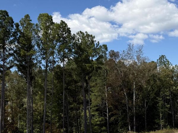 6 Creekwood, Unit 6, Cleveland, TN 37312