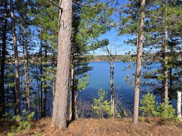 9269 Gedman Road, Mancelona, MI 49659