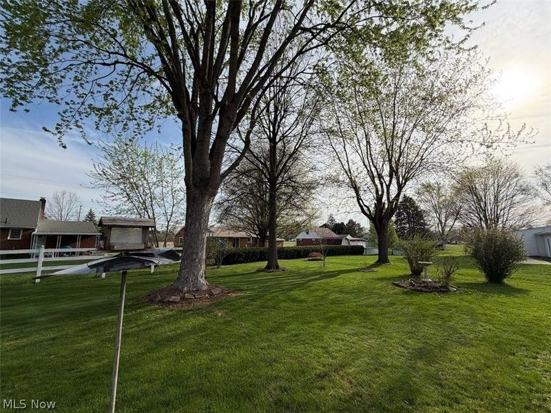 239 Fairview Street, Louisville, OH 44641 Photo 10