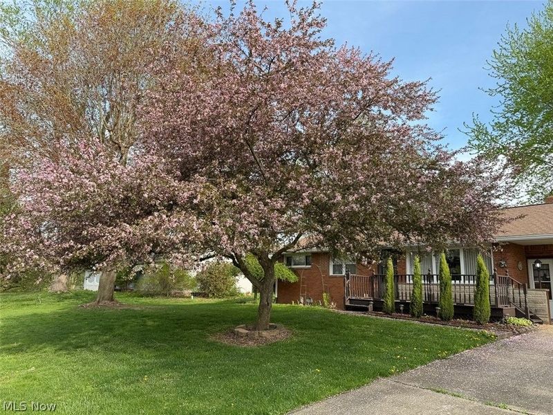 239 Fairview Street, Louisville, OH 44641 Photo 3