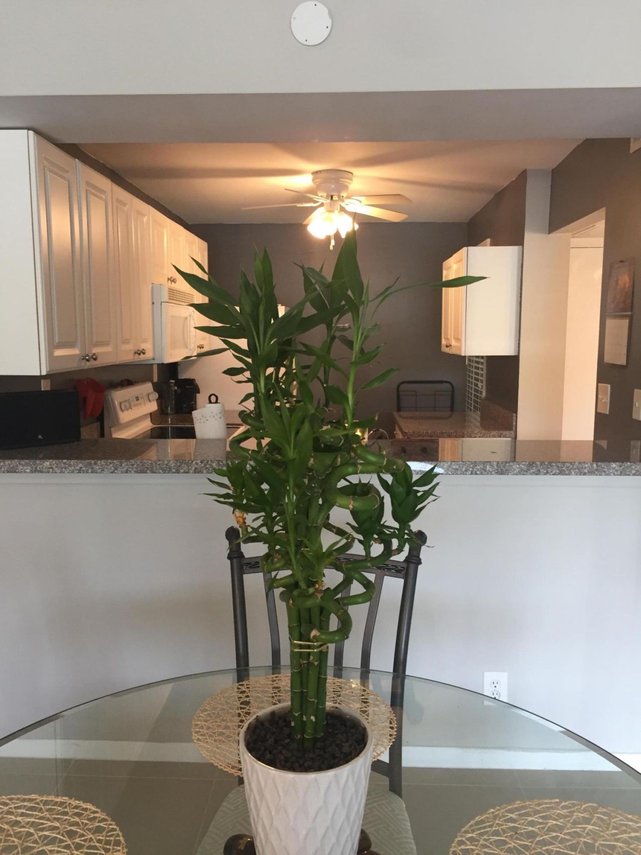 10 Royal Palm Way, Unit 2030, Boca Raton, FL 33432 Photo