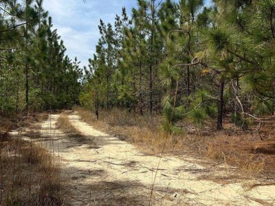 CA 9 Mt. Calvary Road , Unit CA 9, Ridge Spring, SC 29129