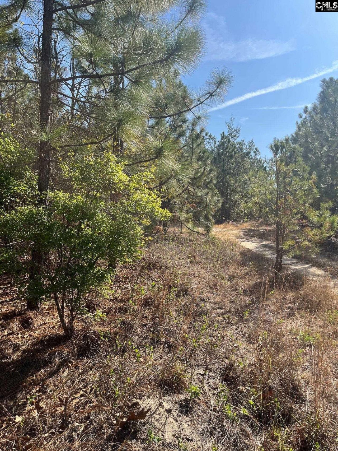 Ca 9 Mt. Calvary Road  Photo 14