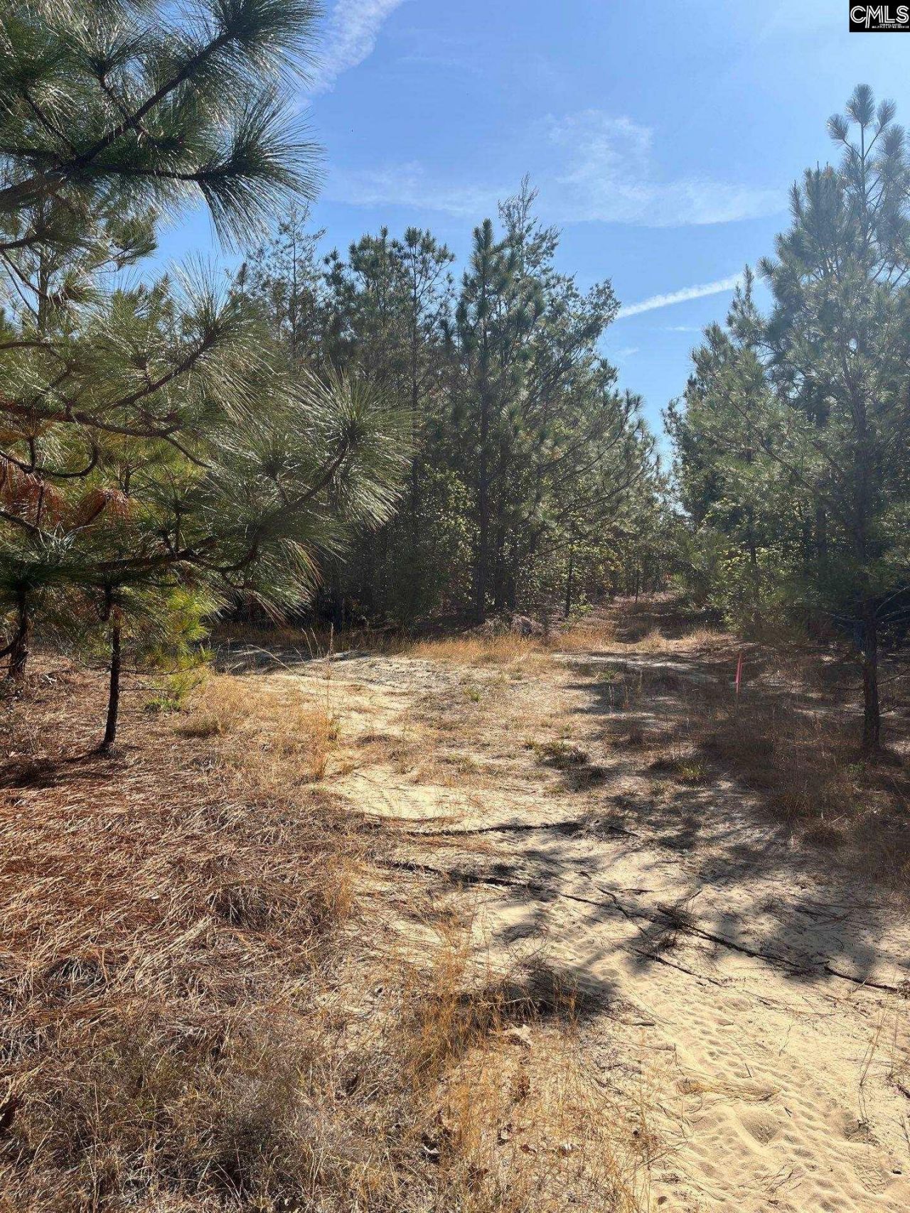 Ca 9 Mt. Calvary Road  Photo 16