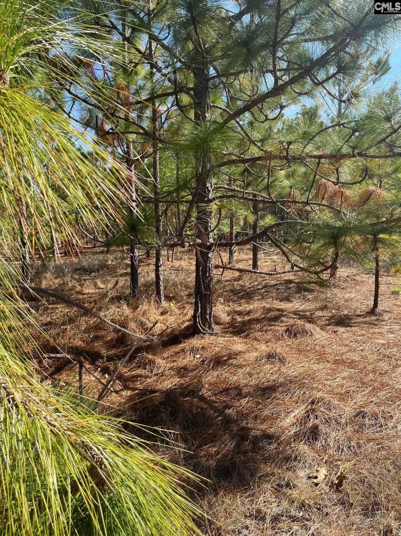Ca 9 Mt. Calvary Road  Photo 17