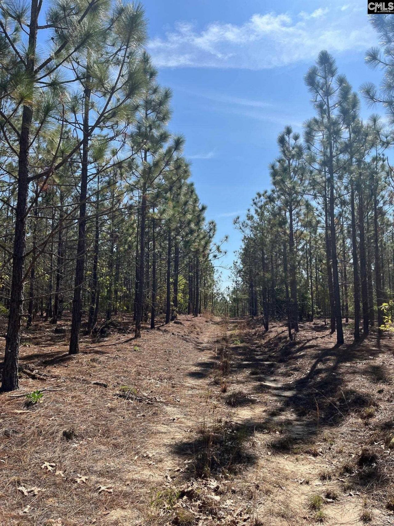 Ca 9 Mt. Calvary Road  Photo 19