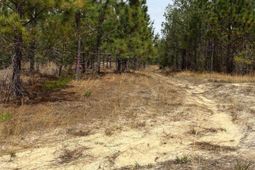 Ca 9 Mt. Calvary Road  photo 4