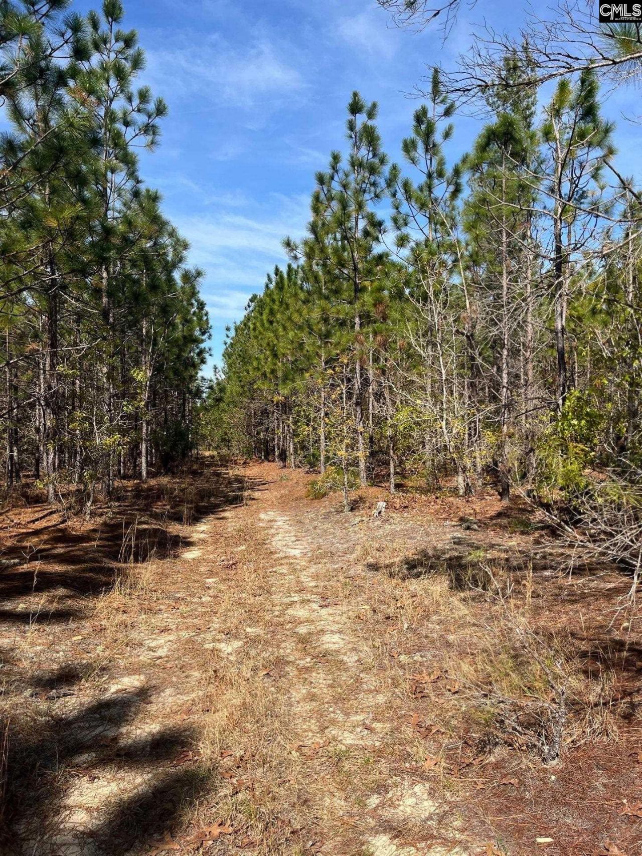 Ca 9 Mt. Calvary Road  Photo 20