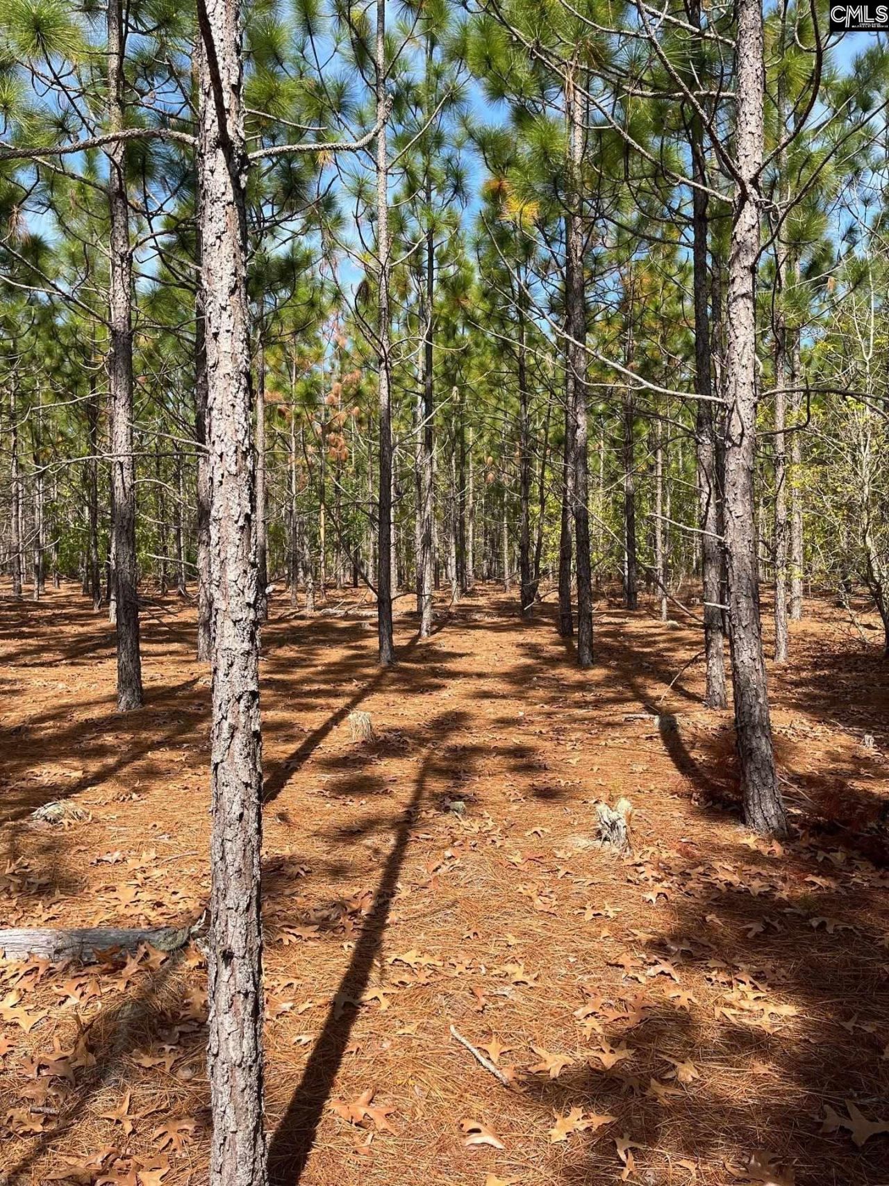 Ca 9 Mt. Calvary Road  Photo 25