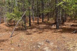 Ca 9 Mt. Calvary Road  photo 4