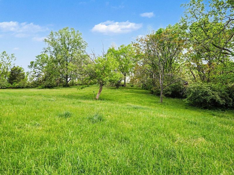 8892 Washington Trace Road, California, KY 41007 Photo 1