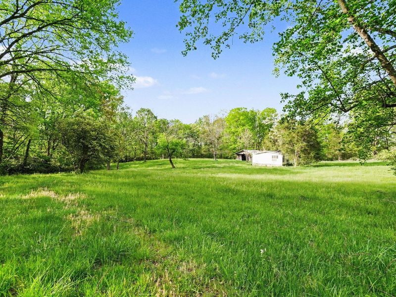 8892 Washington Trace Road, California, KY 41007 Photo 13