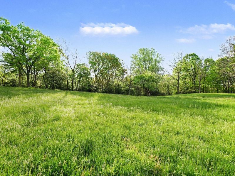 8892 Washington Trace Road, California, KY 41007 Photo 16