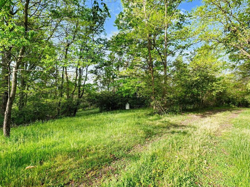 8892 Washington Trace Road, California, KY 41007 Photo 6