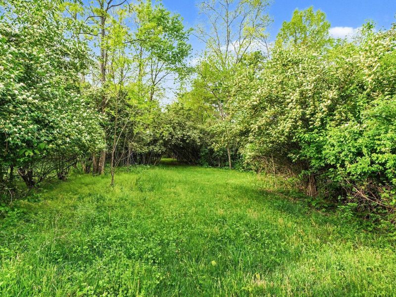 8892 Washington Trace Road, California, KY 41007 Photo 7
