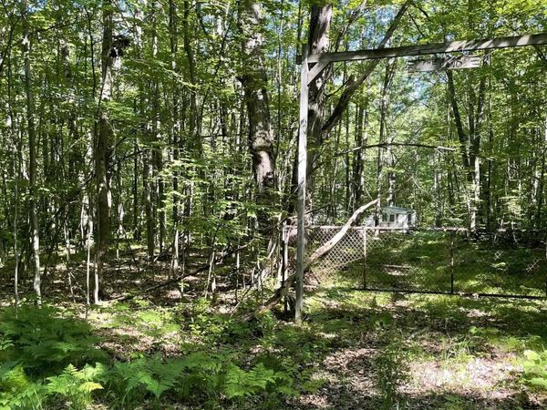 8895 Grandview Trail, Reed City, MI 49677