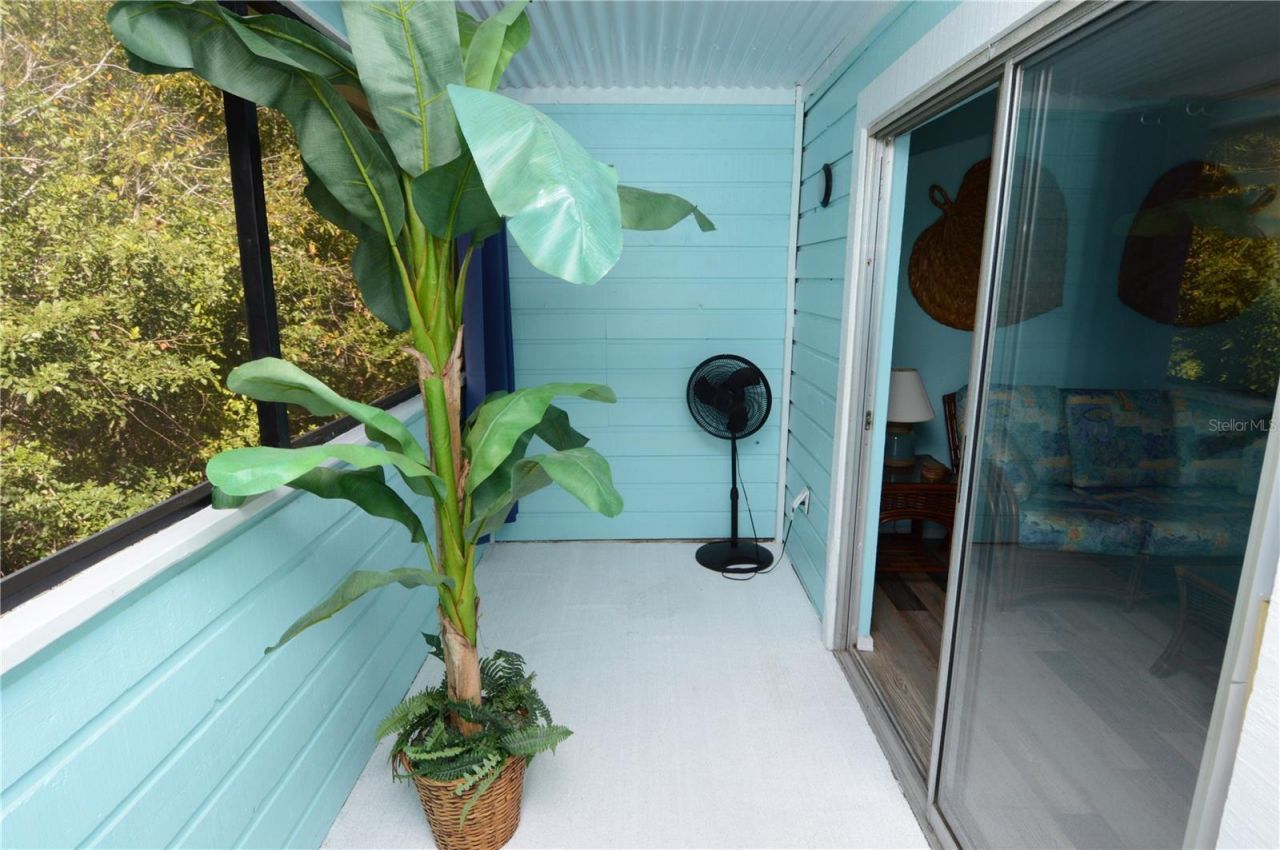 1400 Gandy Boulevard N, Unit 207, Saint Petersburg, FL 33702 Photo