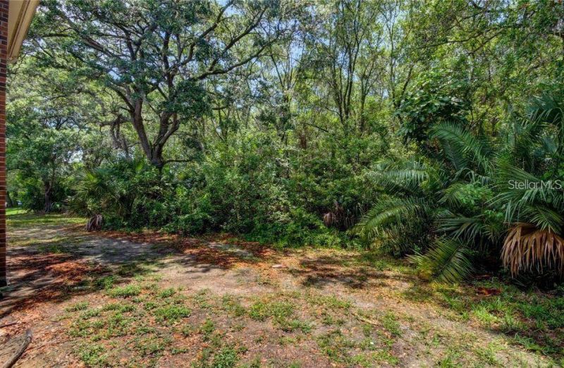 1400 Gandy Boulevard N, Unit 207, Saint Petersburg, FL 33702 Photo