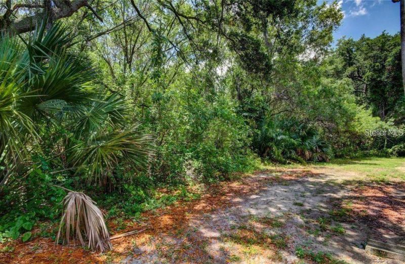 1400 Gandy Boulevard N, Unit 207, Saint Petersburg, FL 33702 Photo