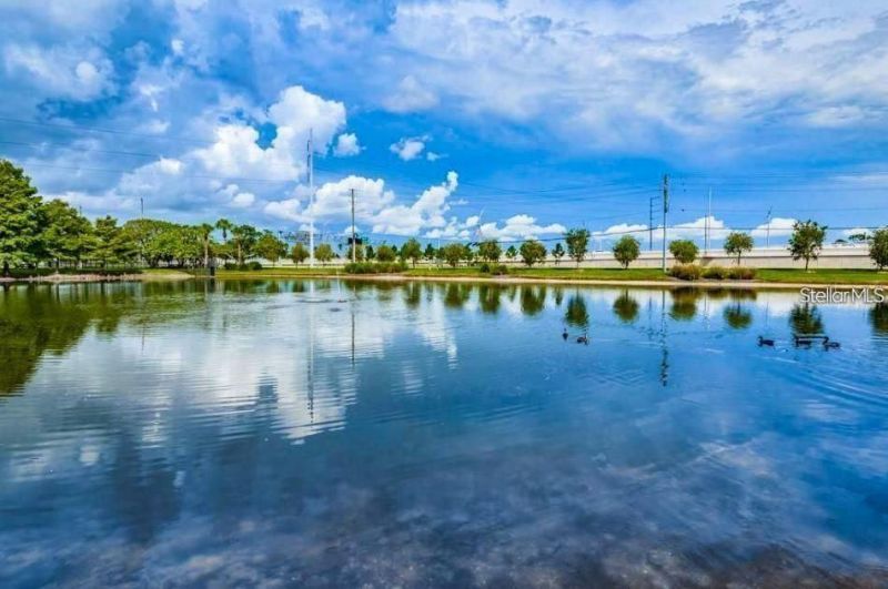 1400 Gandy Boulevard N, Unit 207, Saint Petersburg, FL 33702 Photo