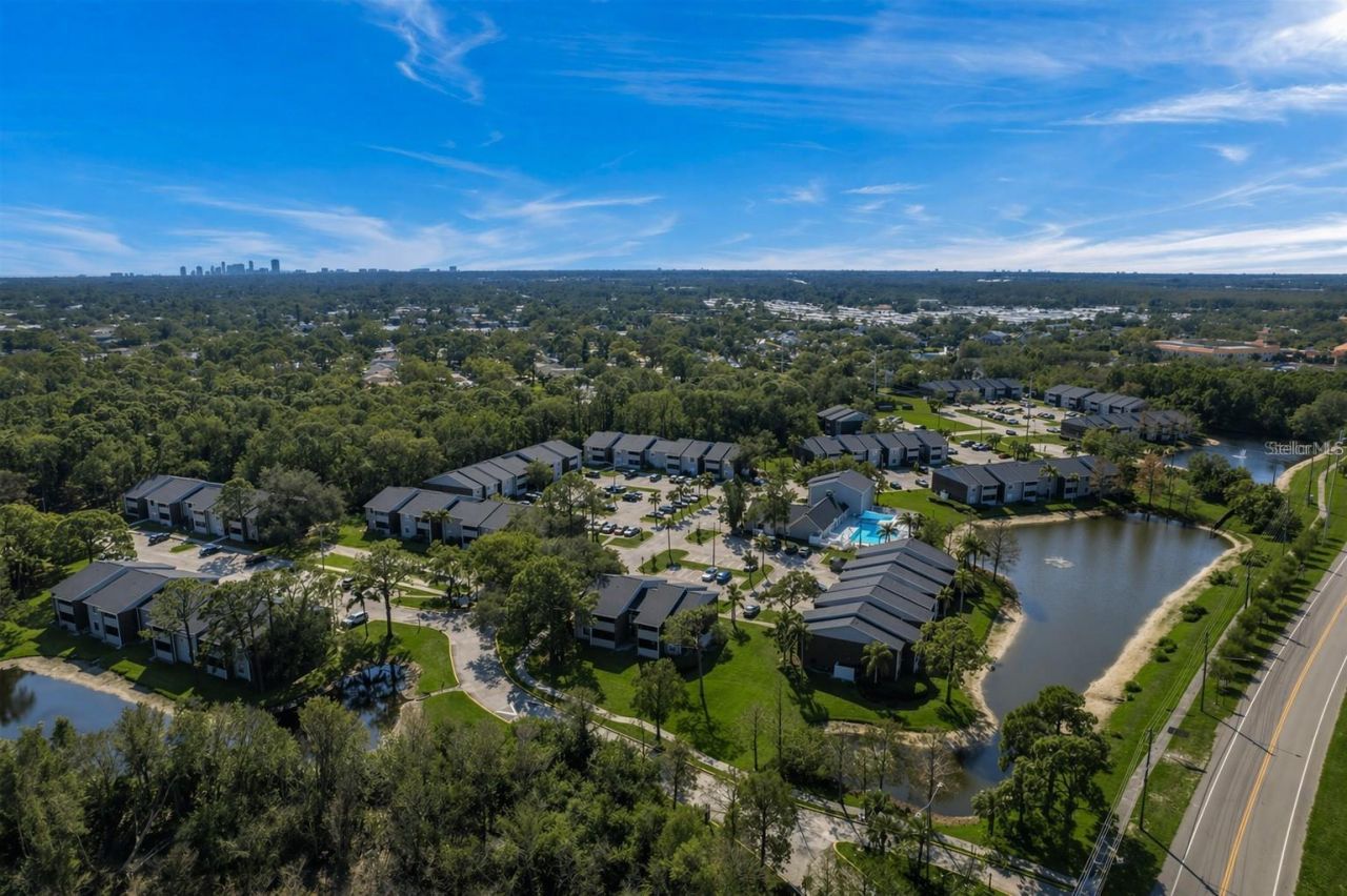 1400 Gandy Boulevard N, Unit 207, Saint Petersburg, FL 33702 Photo
