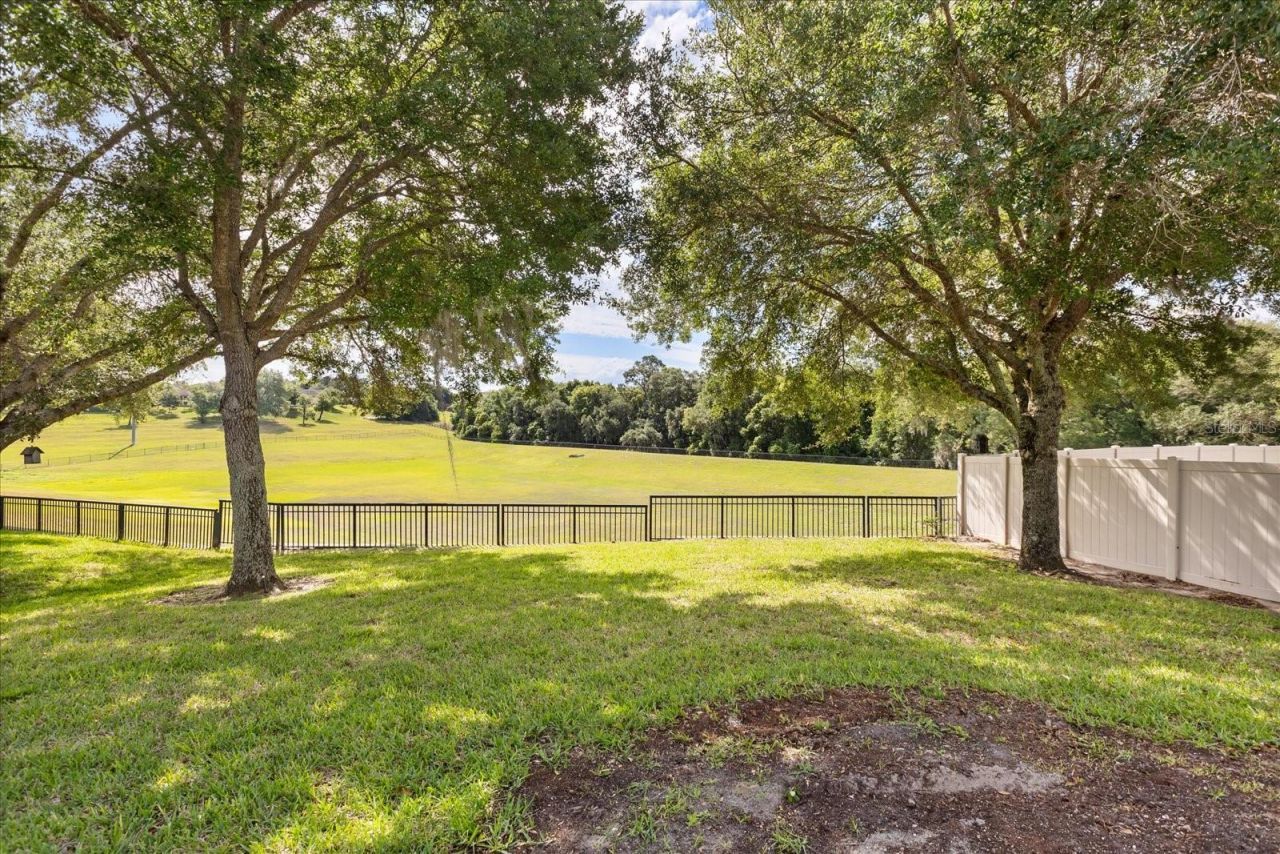 20934 Sullivan Ranch Boulevard , Mount Dora, FL 32757 Photo