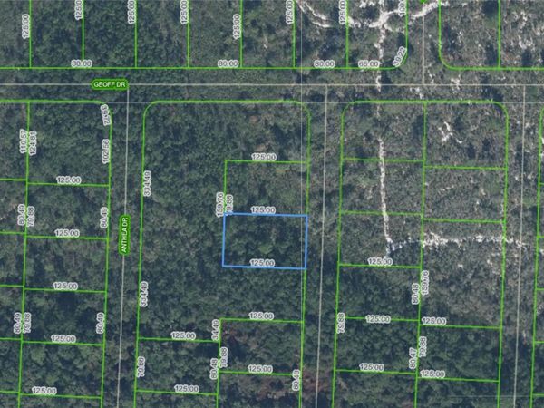 6316 ALICIA DRIVE , SEBRING, FL 33872