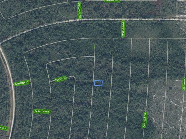 6644 PERSIS DRIVE , SEBRING, FL 33872