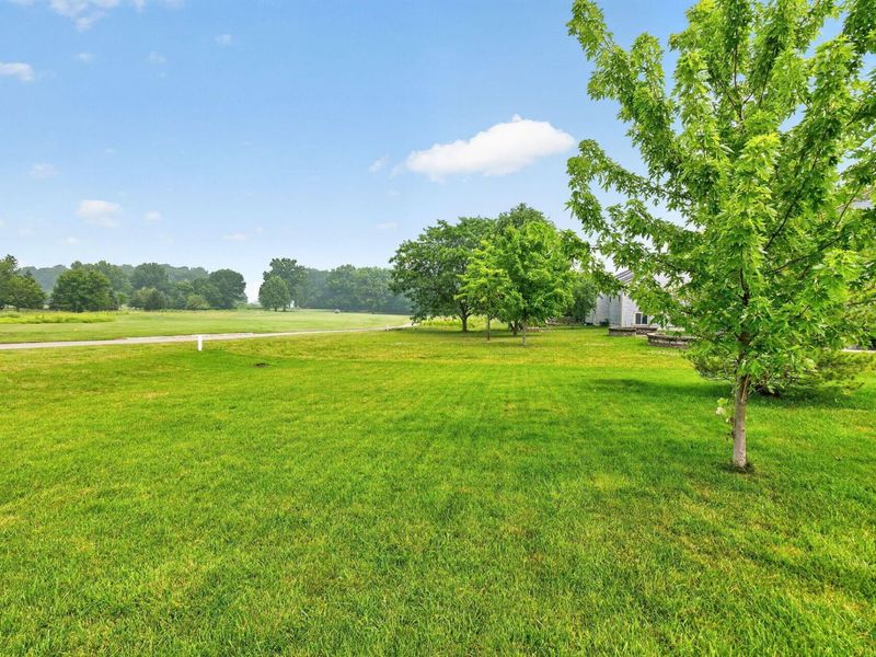 7215 Bromfield Drive, Canal Winchester, OH 43110 Photo 37