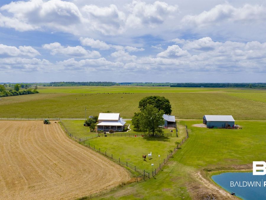 Property Image 61